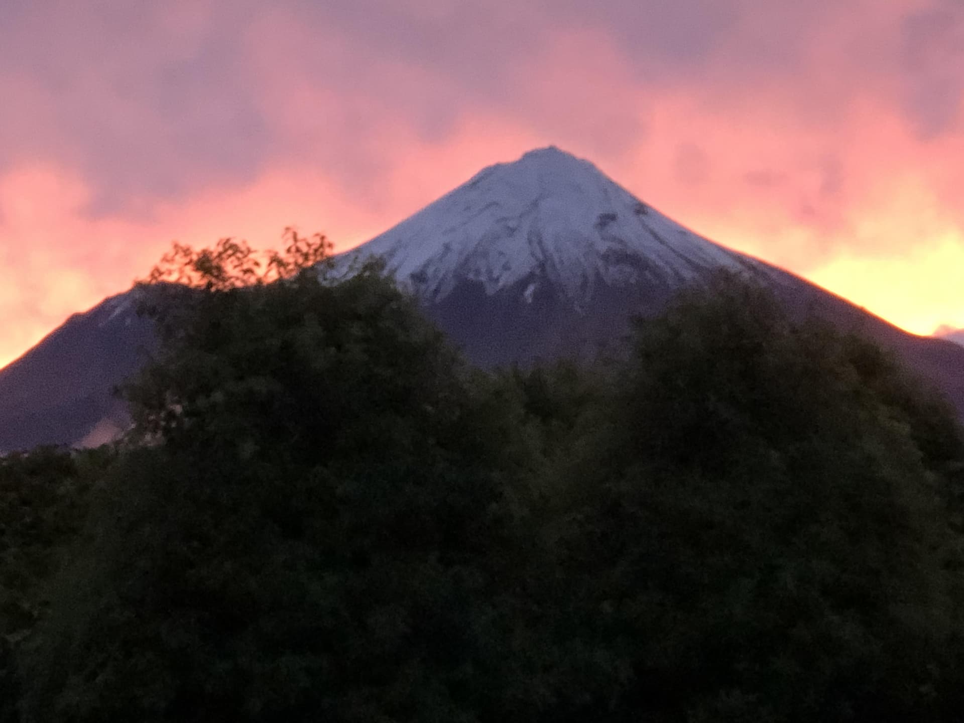 Platinum Lodge & Day Spa